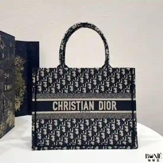 3015 - DIOR 中号Tote系列