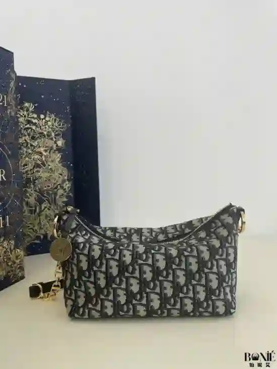 3092 - DIOR Hobo star 链条手袋系列