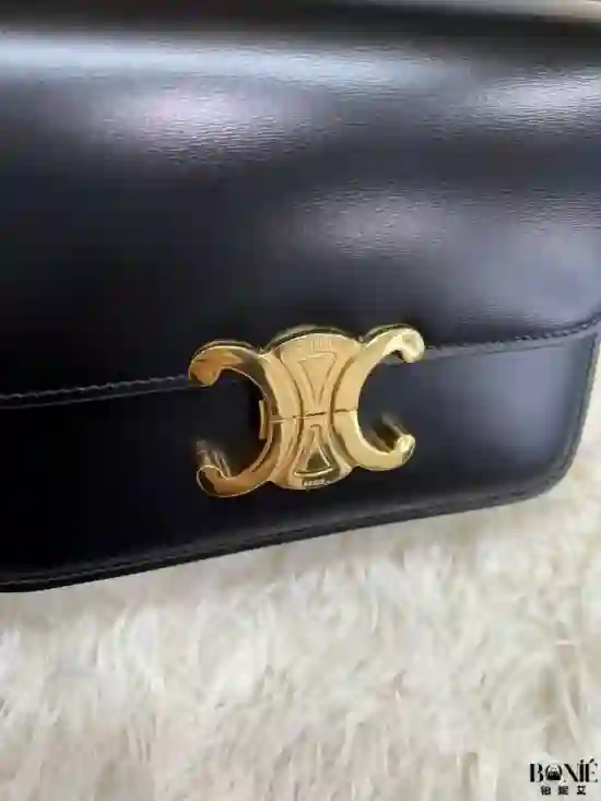 188423 - CELINE Teen Triomphe Bag - Image 2