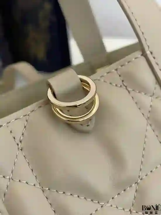 3151 (奶油杏) - Dior Toujours竖版系列中号 - Image 4