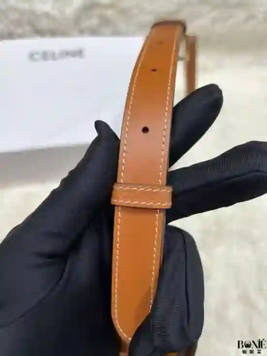 187363 - CELINE Classique Triomphe Bag - Image 5