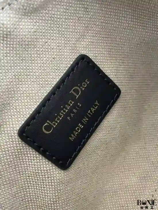 3121 - DIOR Groove 16手袋波士顿迷你 - Image 8