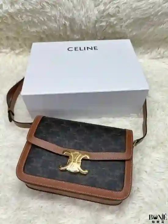 191242 - CELINE Medium Triomphe Bag - Image 3