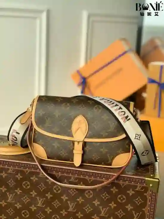 M45985 - DIANE 手袋