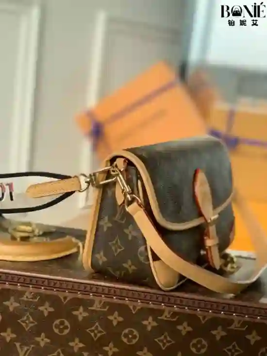 M45985 - DIANE 手袋 - Image 2