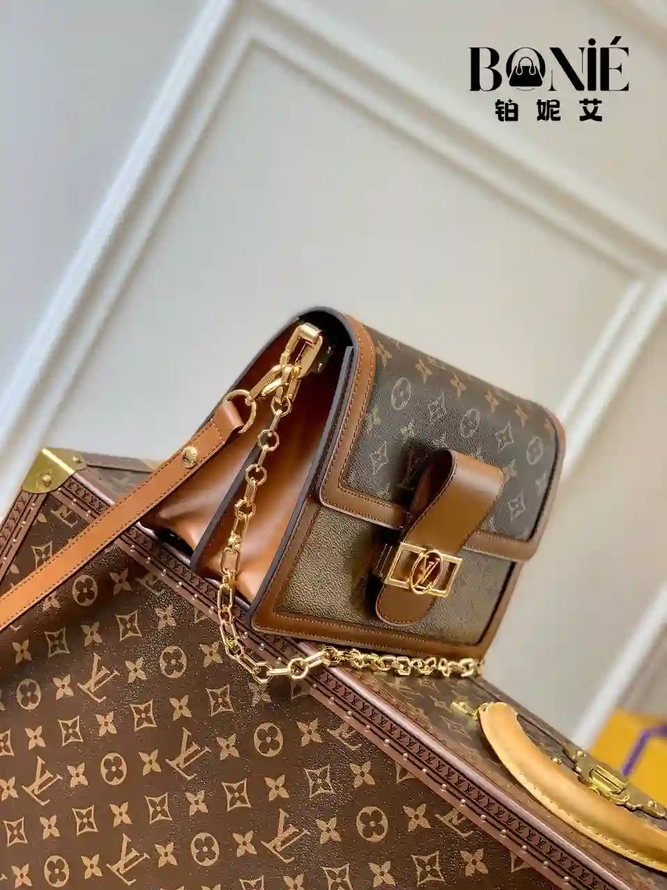 未命名的设计.zip - 3 M45958  - 中号手袋 - Dauphine - Image 8