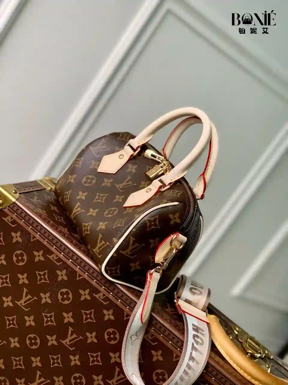 未命名的设计.zip - 3 M46222 (M46234) - 新版Speedy Bandoulière 20 - Image 3