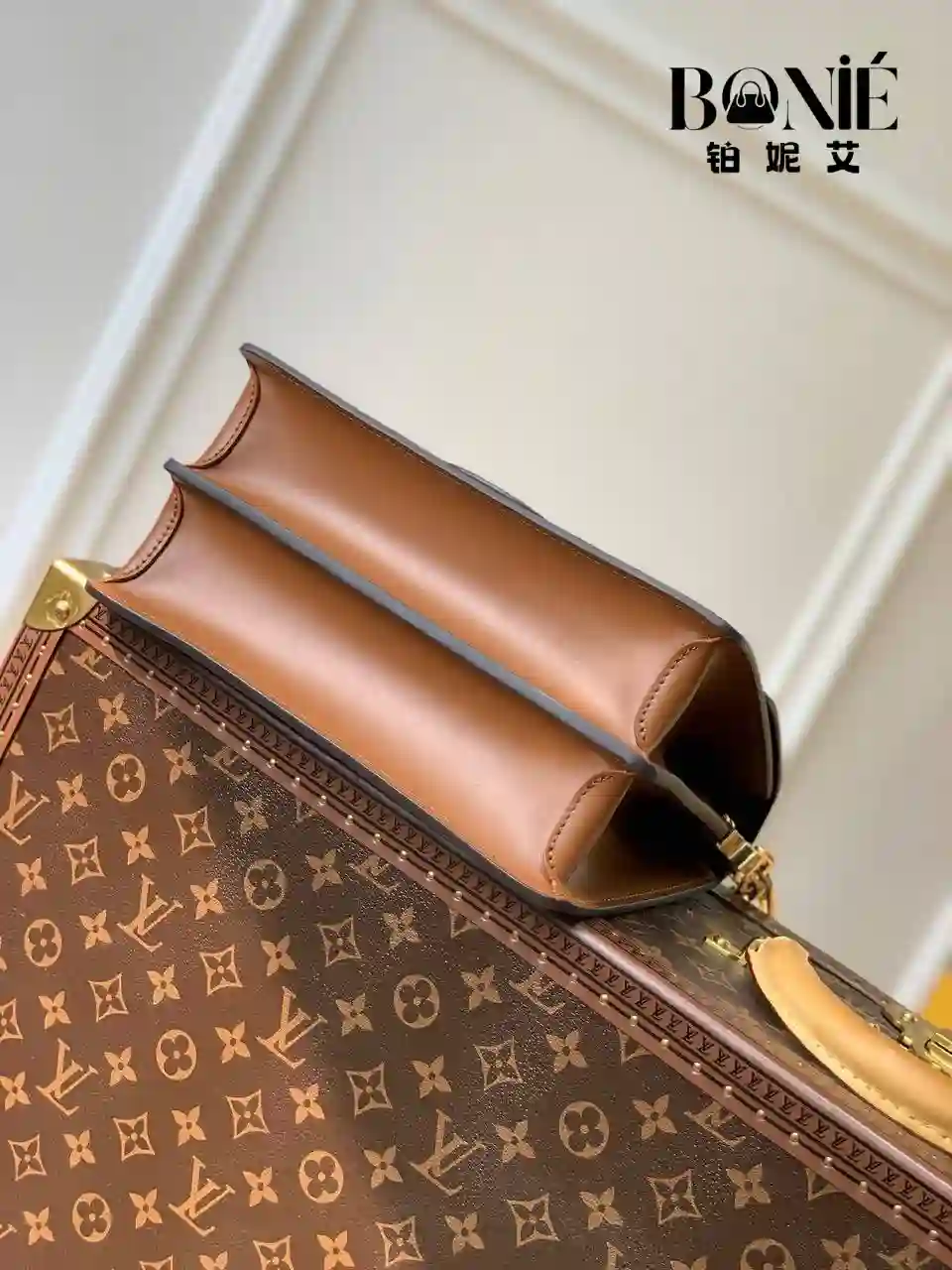 未命名的设计.zip - 4 M45958  - 中号手袋 - Dauphine - Image 9