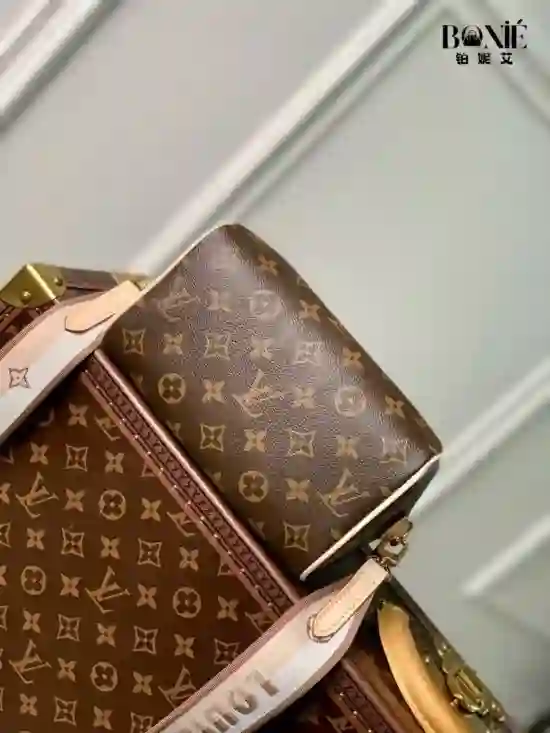 M46222 (M46234) - 新版Speedy Bandoulière 20 - Image 8