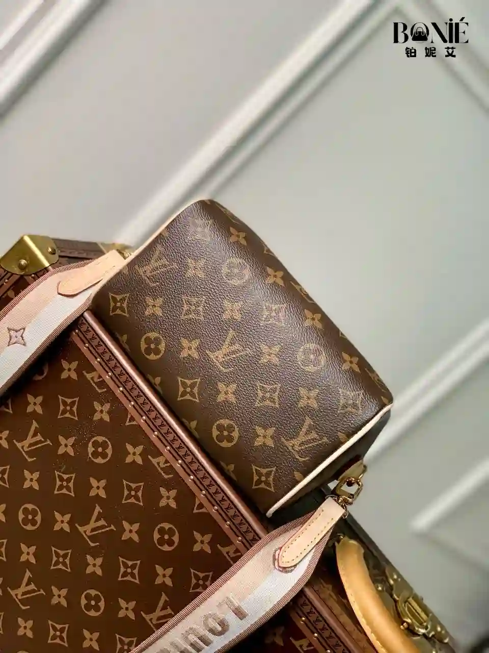 未命名的设计.zip - 4 M46222 (M46234) - 新版Speedy Bandoulière 20 - Image 8