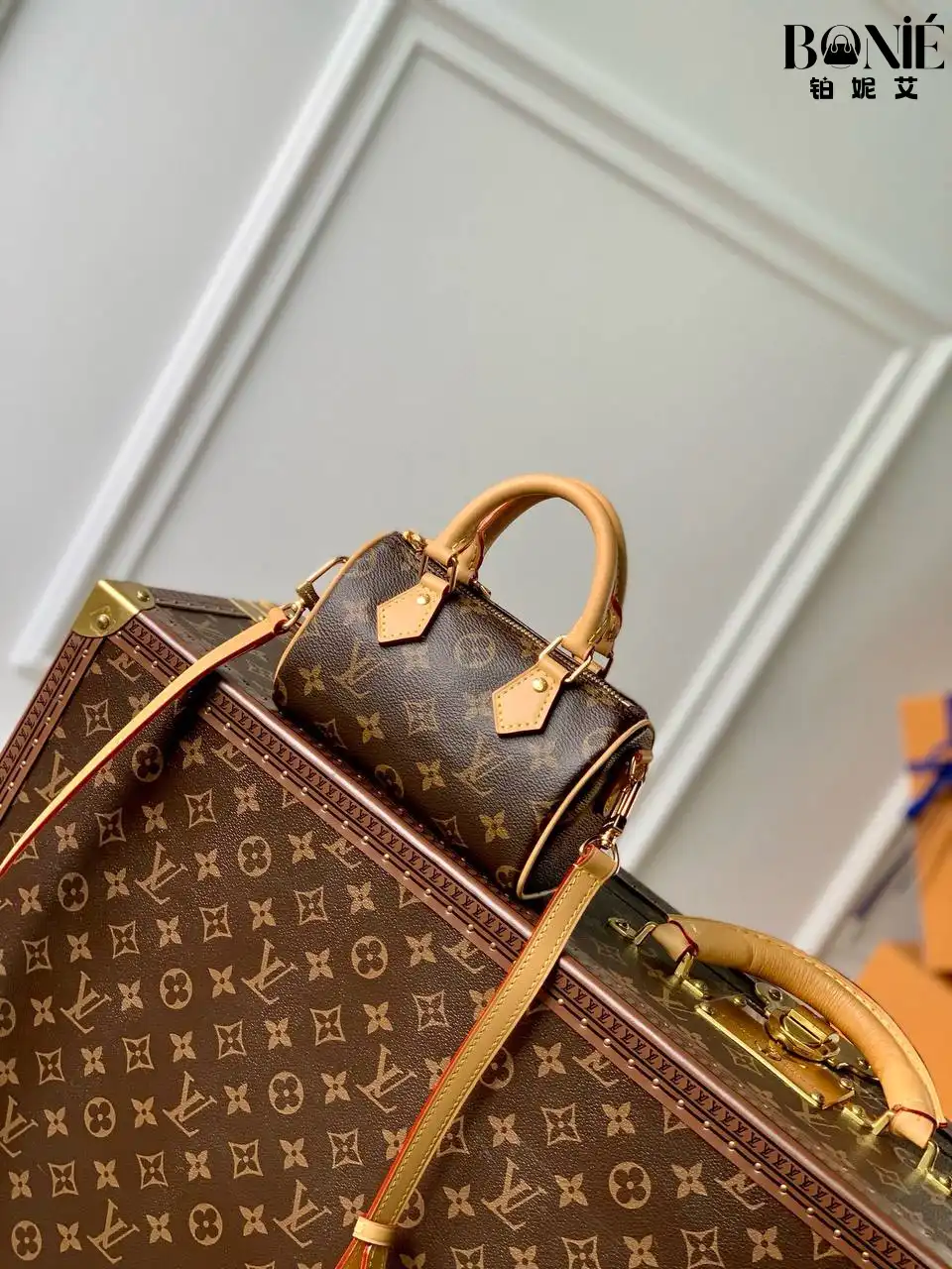 图片_20251204164150_448_46 M81085 - Louis Vuiiton 新版 NANO SPEEDY 手袋 - Image 1