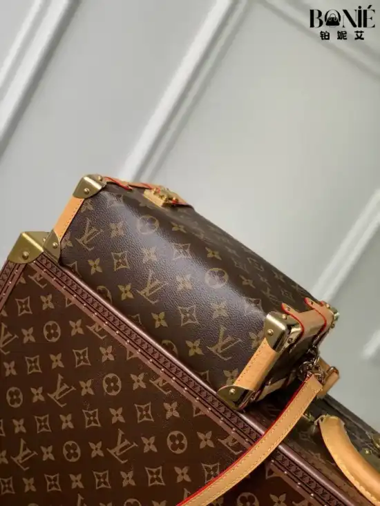 M46358 老花 (黄皮）Side trunk pm 手袋 - Image 5